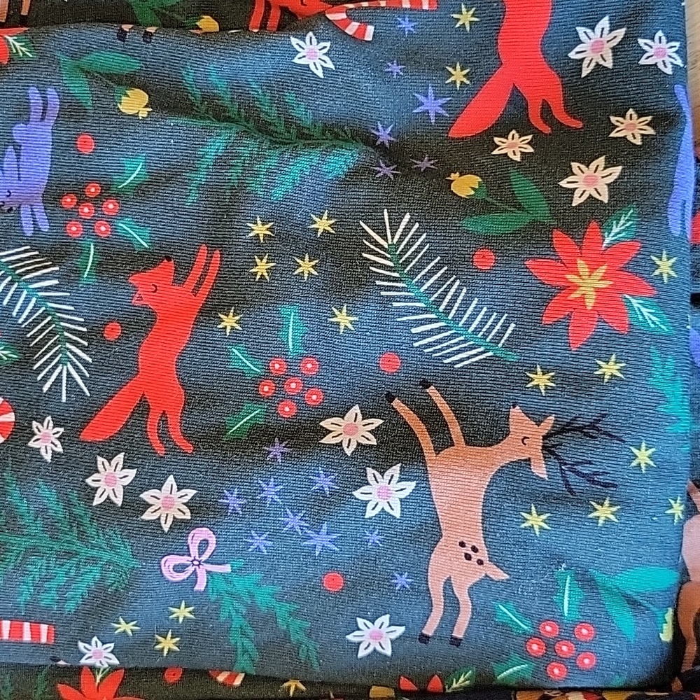 Bundle 2 sets Hanna Andersson pj's - Picture 5 of 5